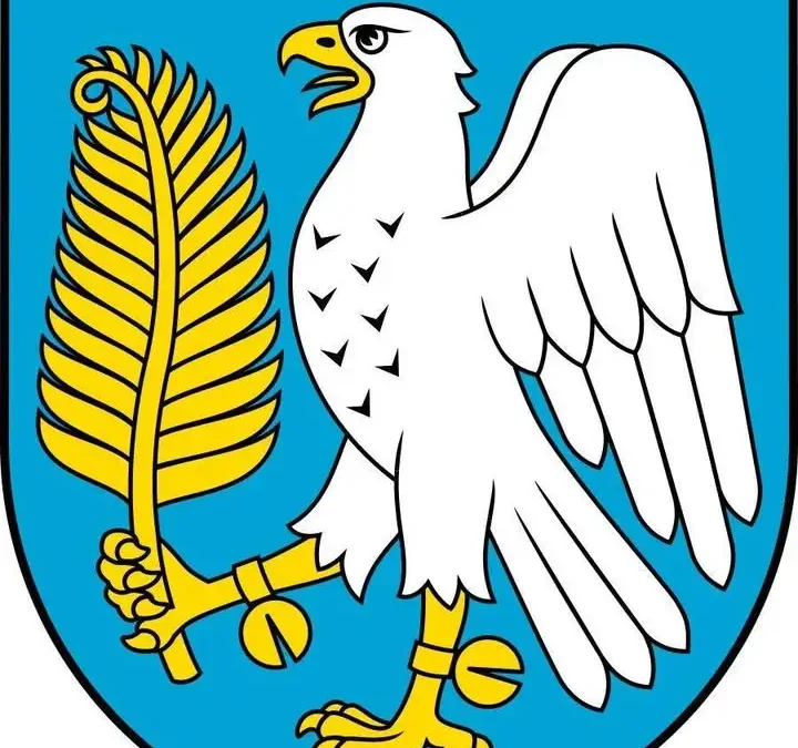 23 lipca rusza nabór dotacji na szkolenia pracowników – nawet 85% dofinansowania