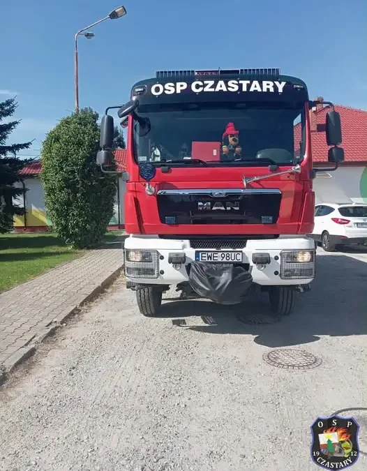 Interwencja strażaków w Czastarach: owady błonkoskrzydłe zaatakowały przedszkole